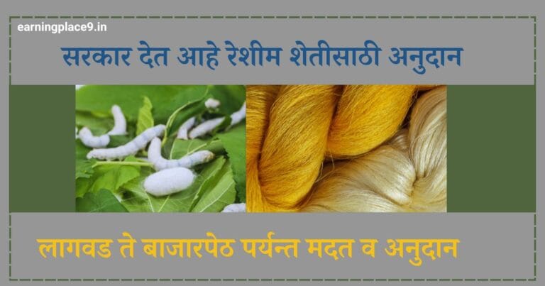 रेशीम शेती