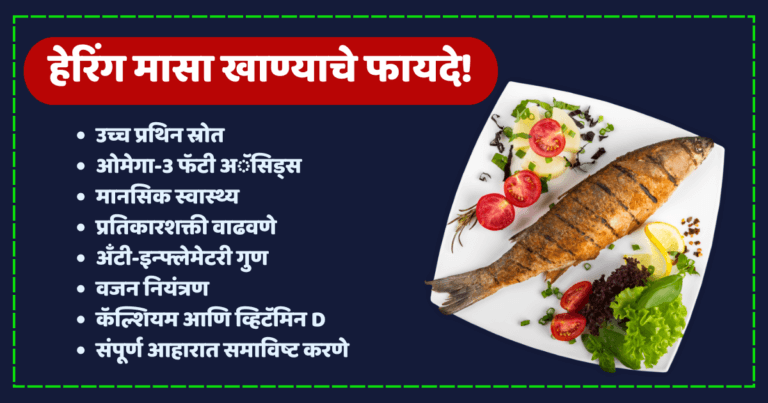 herring fish in marathi