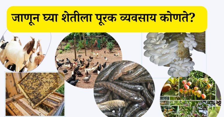 शेतीला पूरक व्यवसाय