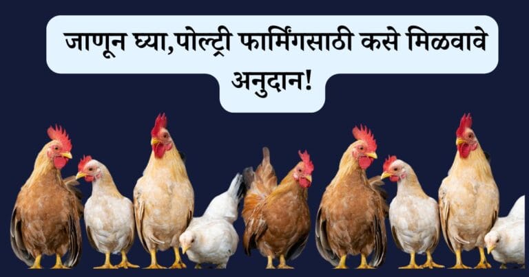 poultry farming in marathi