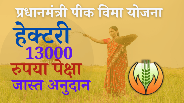 प्रधानमंत्री पीक विमा योजना 2024-25