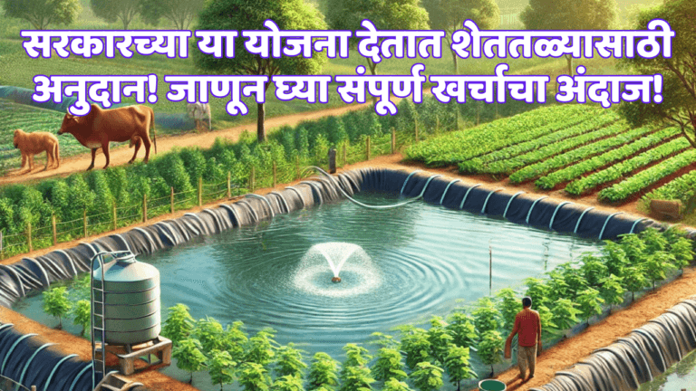 शेततळ्यासाठी अनुदान!
