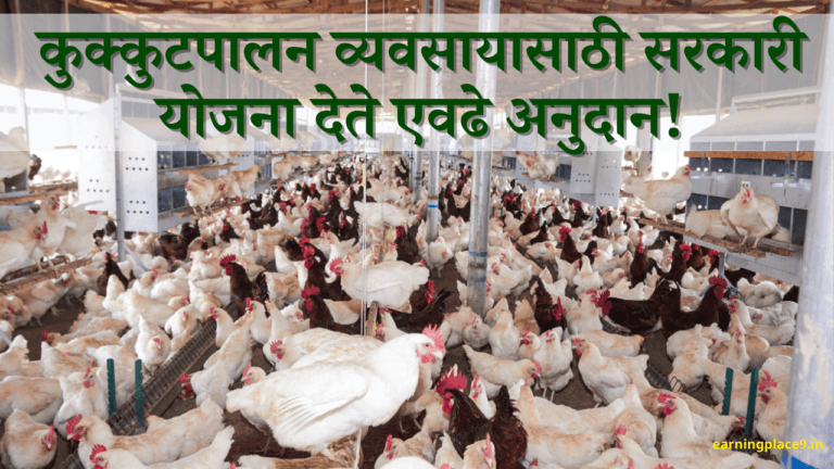 कुक्कुटपालन व्यवसायासाठी सरकारी योजना व अनुदान