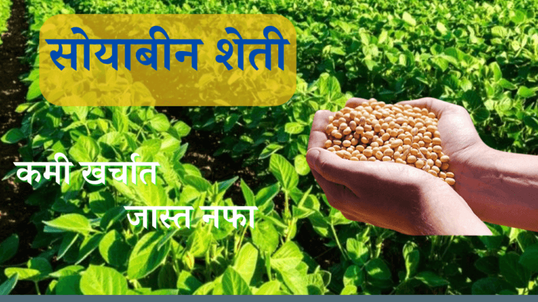 सोयाबीन शेती