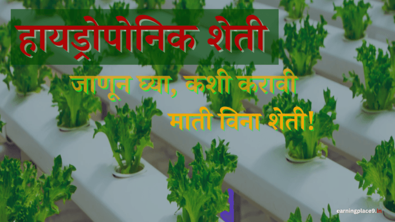 हायड्रोपोनिक शेती