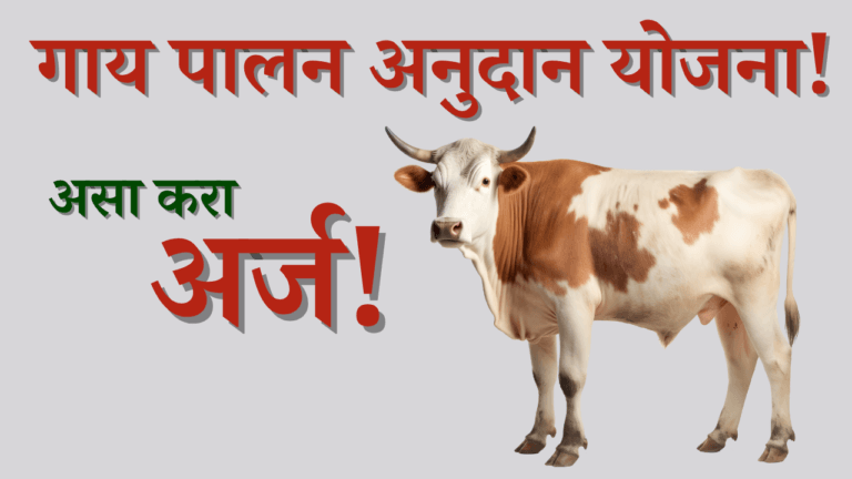 गाय पालन अनुदान योजना!